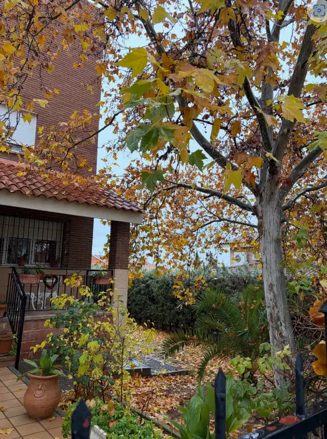 Exterior view of Houses for sale in Toledo  with Private garden