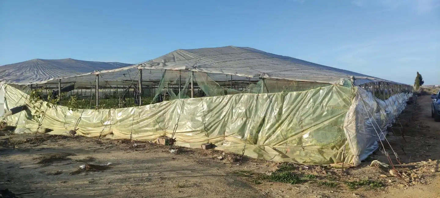 Terreni e lotti in vendita a La Loma Baja, imagen 5