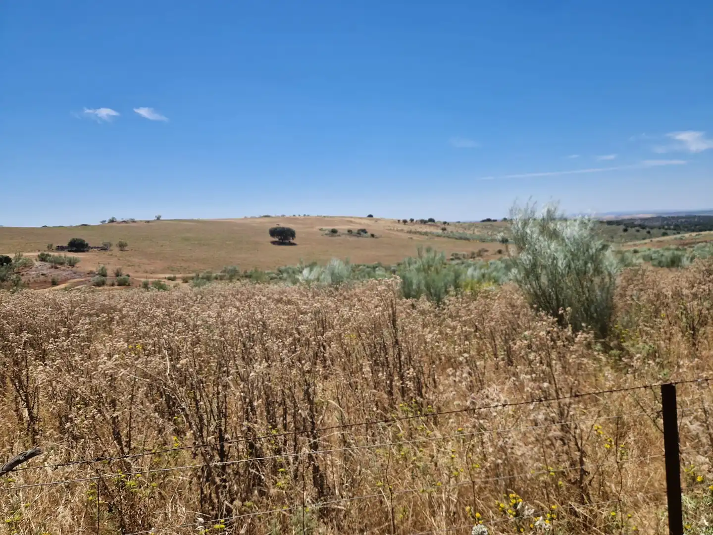 Terreni e lotti in vendita a Oliva de Mérida, imagen 5