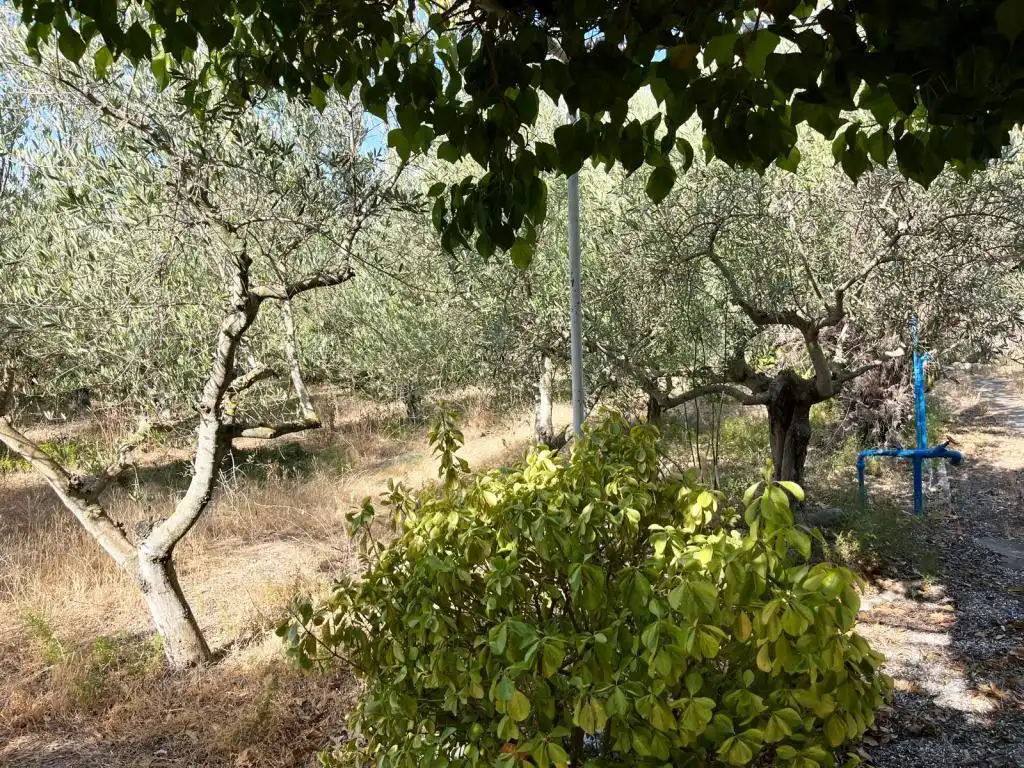 Casa o chalet en venta en Baldellou
