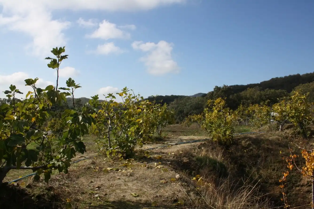 Finca rústica en venta en Torremenga con Jardín privado, Terraza y Amueblado
