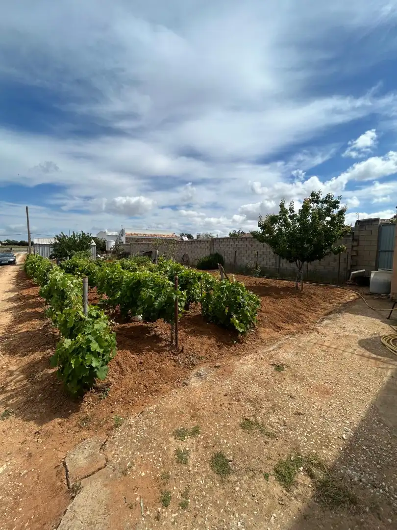 Houses for sale in Chiclana de la Frontera