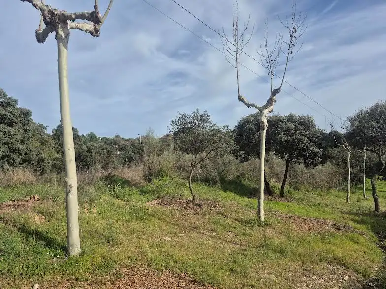 Wohnbaugrundstück zum Verkauf in Cerro Alarcón, imagen 5