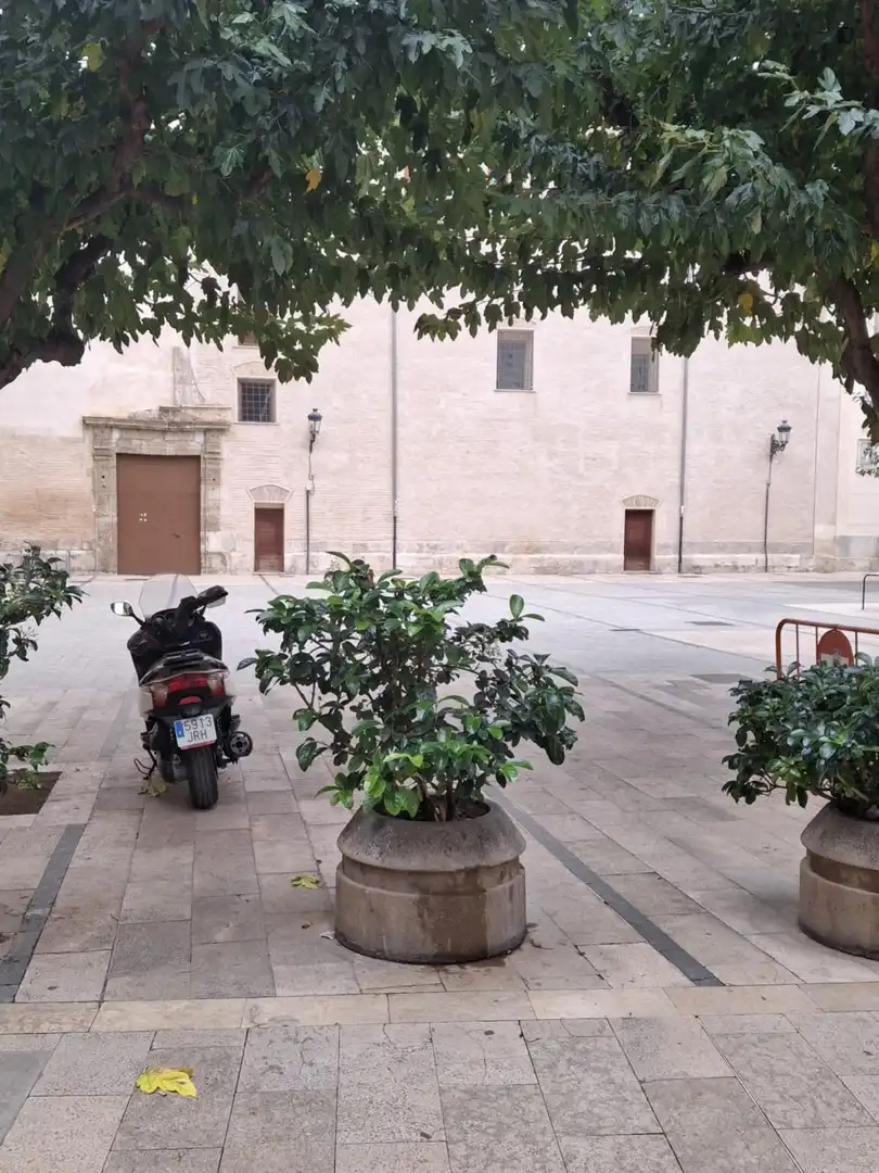 Estudio de alquiler en El Pilar