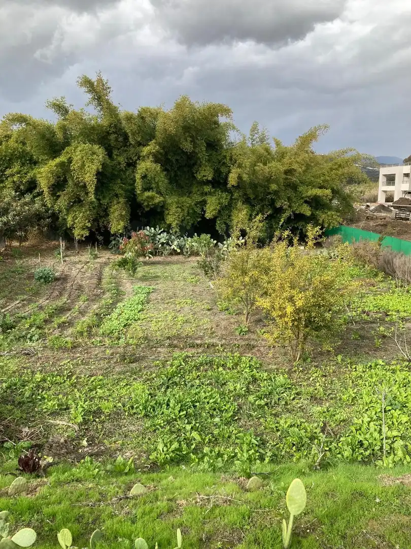 Terreny residencial en venda a Marina de Casares, imagen 6