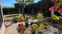 Garden of House or chalet for sale in Roquetas de Mar  with Private garden and Storage room