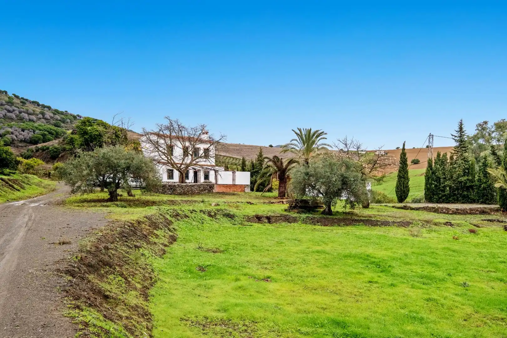 Vista exterior de Finca rústica en venta en Casarabonela con Terraza y Piscina