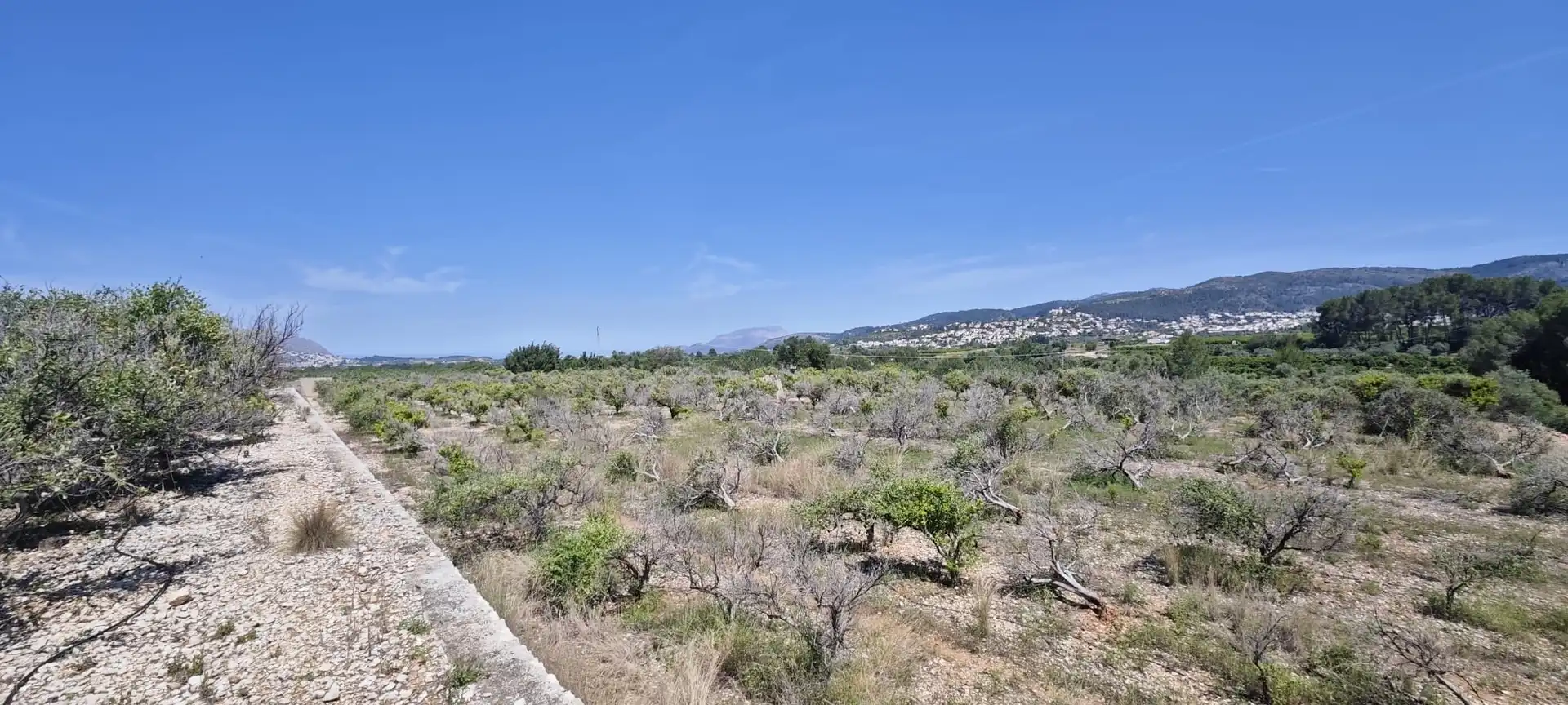 Residential land for sale in Tormos, imagen 32