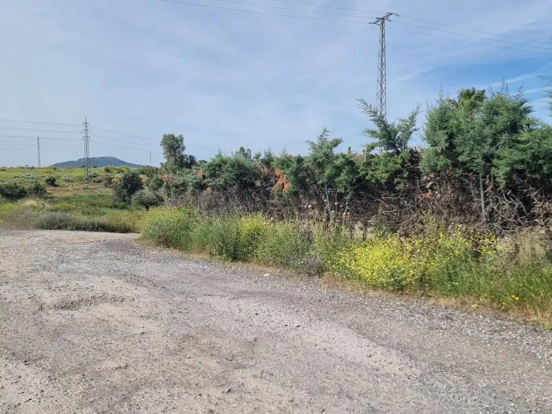 Terreni e lotti in vendita a Poligono Dehesa del Rey 220, imagen 3