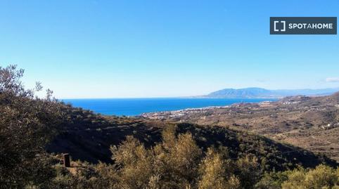 Photo 5 of Apartment to share in Los Almendros - El Limonero - El Tomillar, Málaga