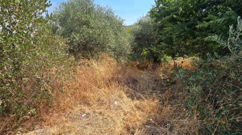 Foto 2 de Residencial en venta en Avenida de las Américas, 10, Aliseda, Cáceres