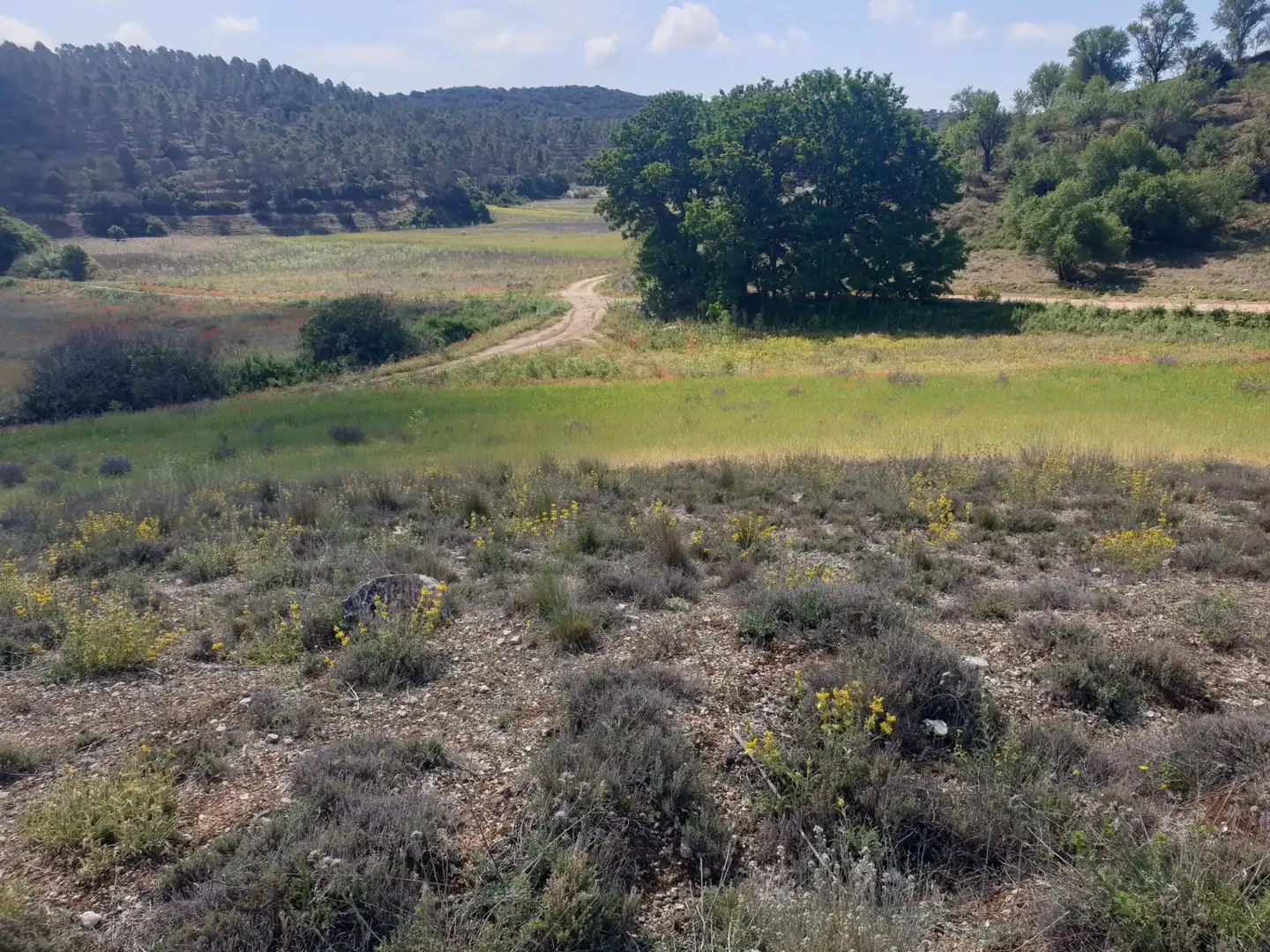 Residencial en venta en Valdelaguna