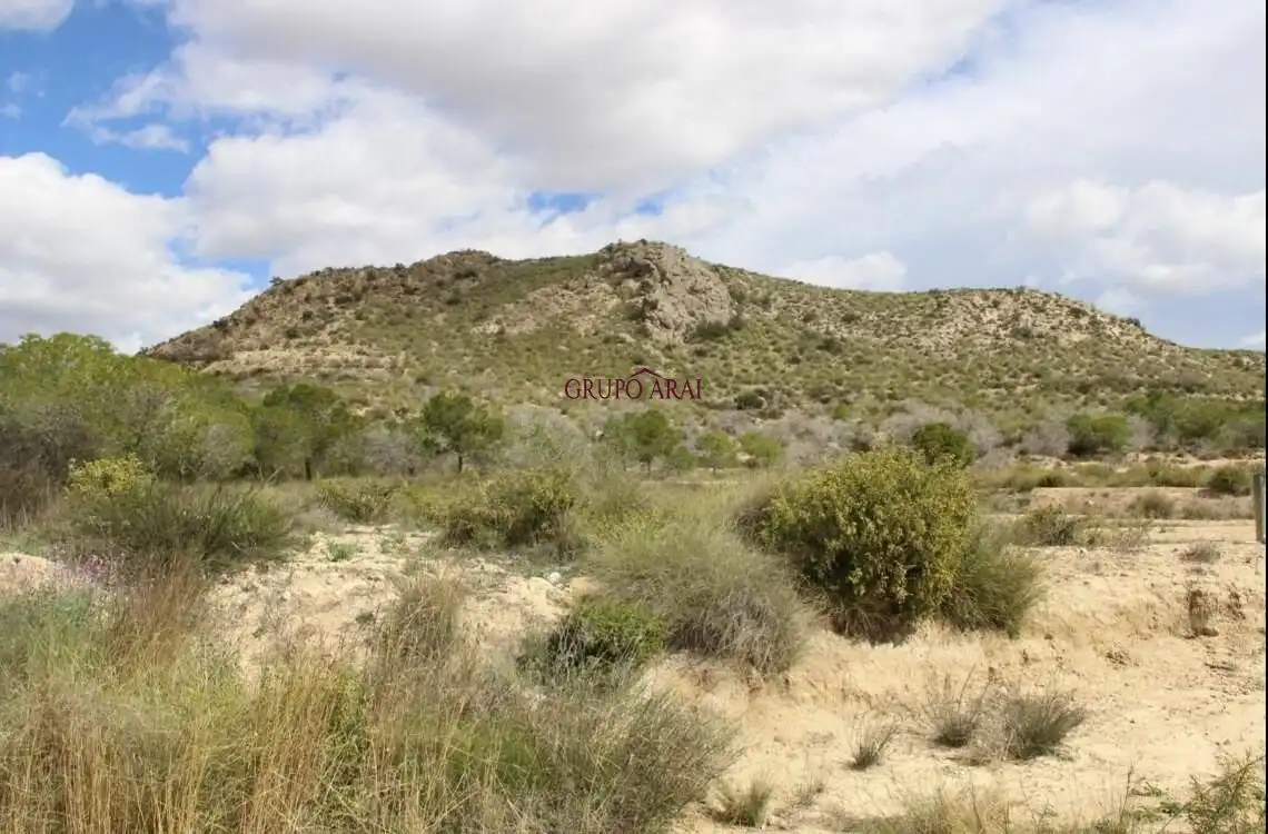 Terreny rústic en venda a de la Ballestera, imagen 12