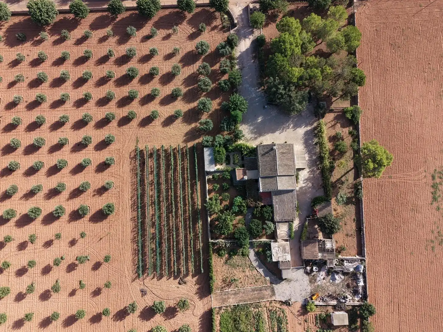 Country homes for sale in Felanitx Poble