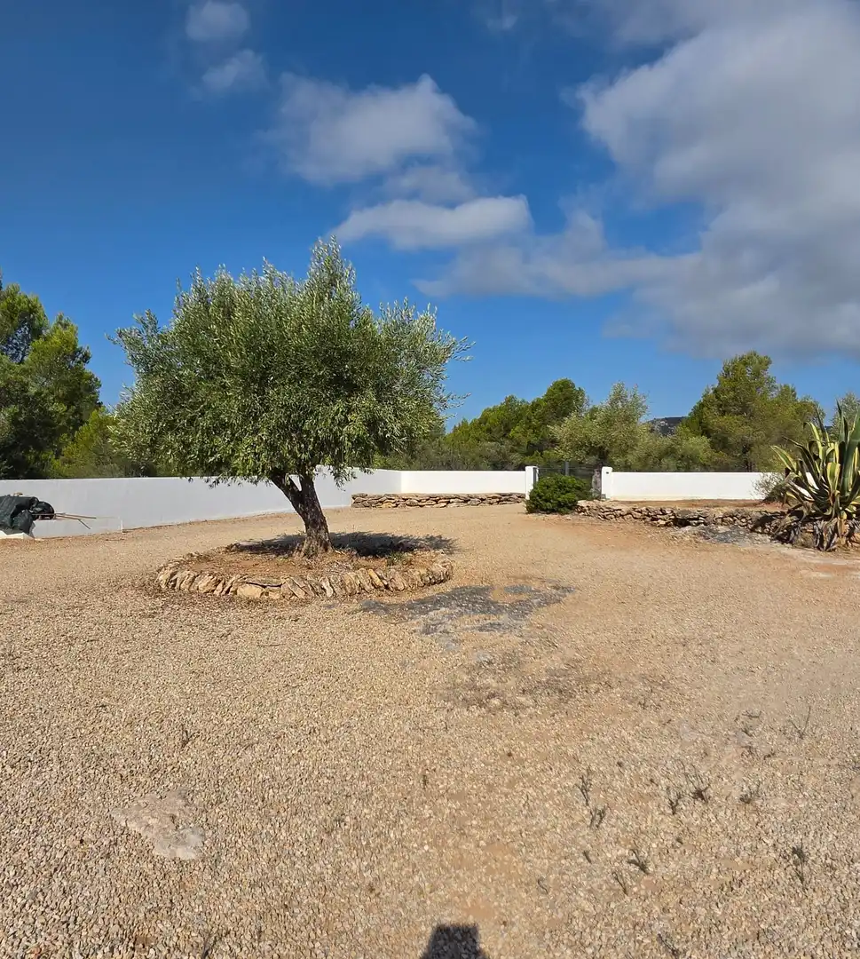 Landhaus mit Pool zum Verkauf in El Perelló, imagen 67