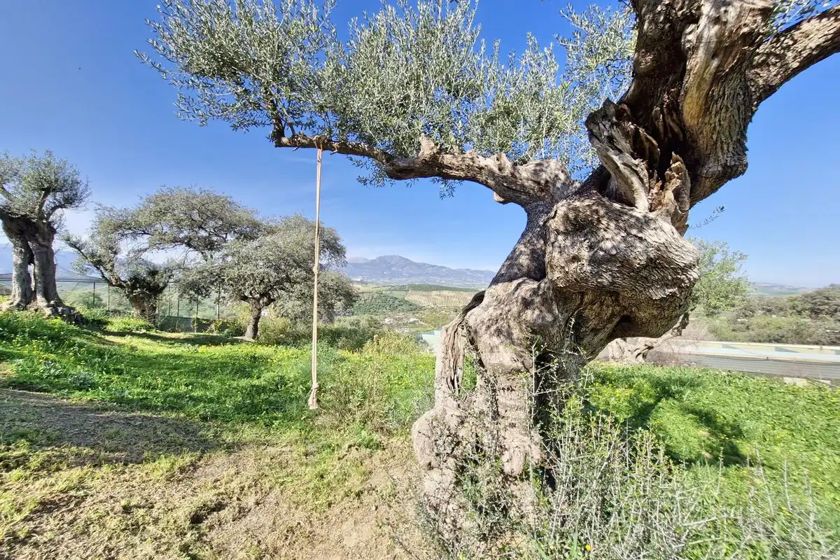Casa rústica amb jardí en venda a Coín, imagen 47