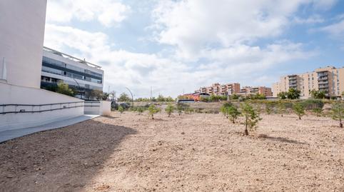 Photo 2 of Flat to rent in Calle Blanco Piquero, Pascual, Rosales del Canal, Zaragoza