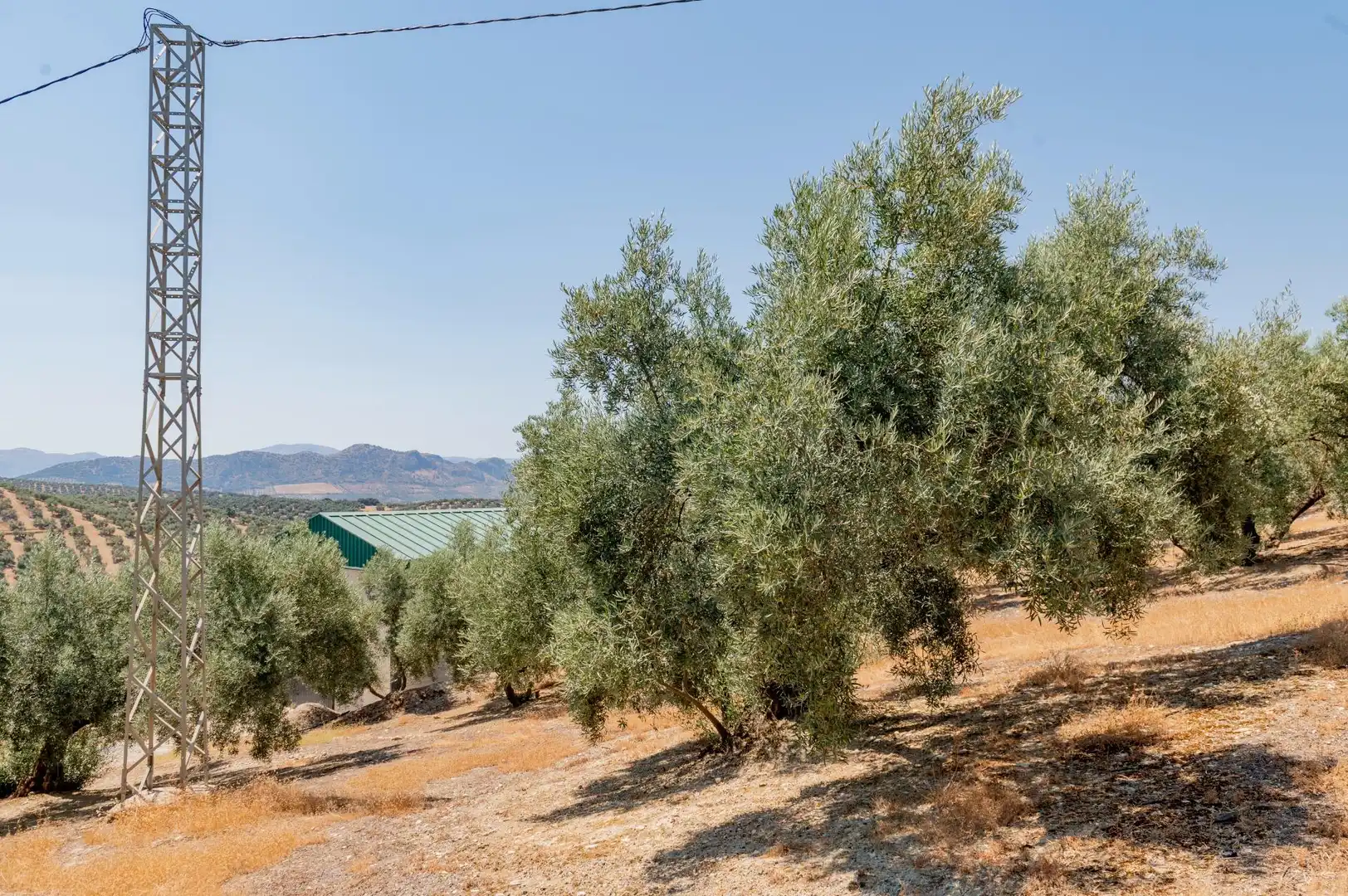 Land for sale in Archidona