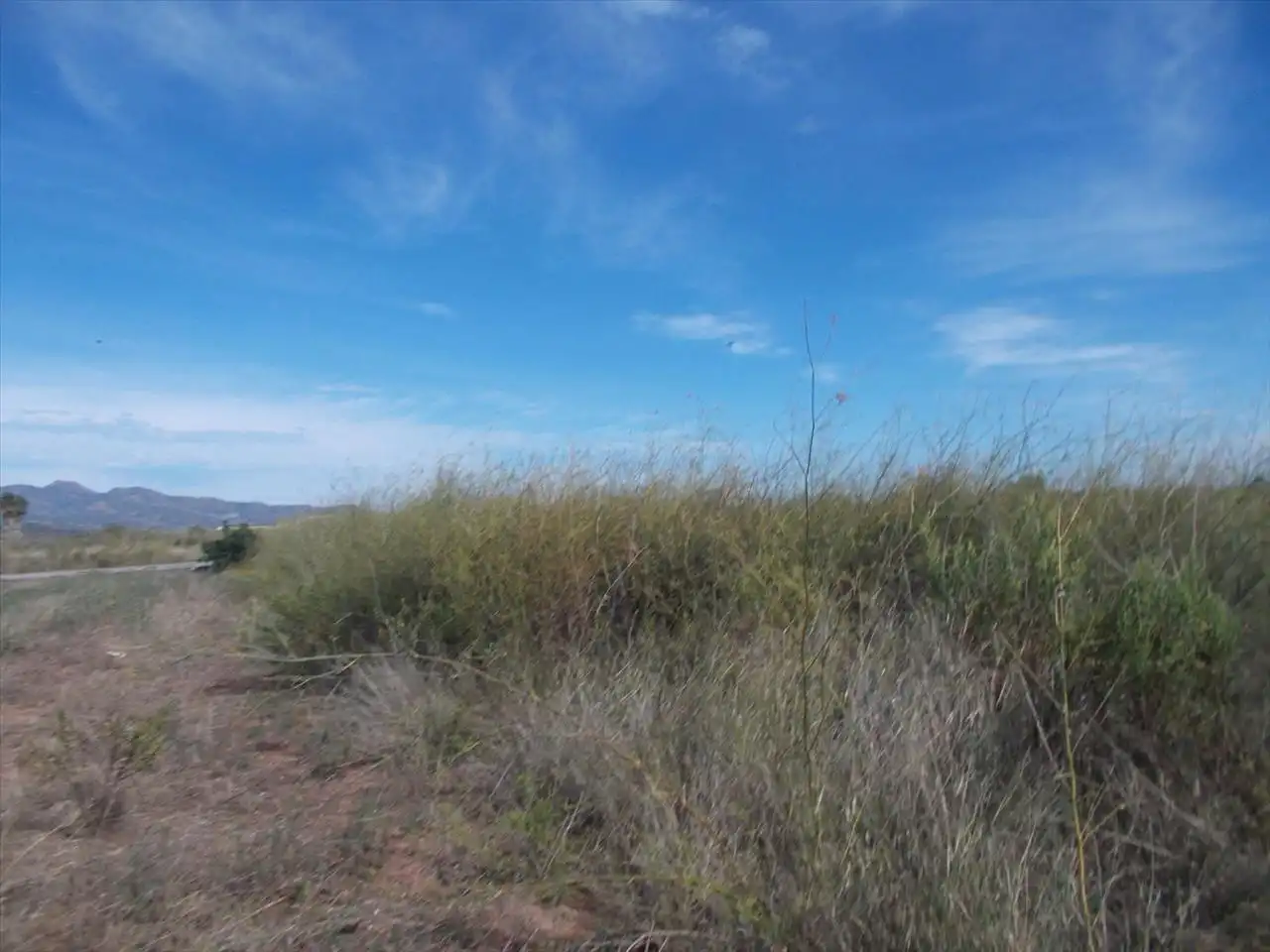 Terreny residencial en venda a Proc. Simplificado, imagen 5