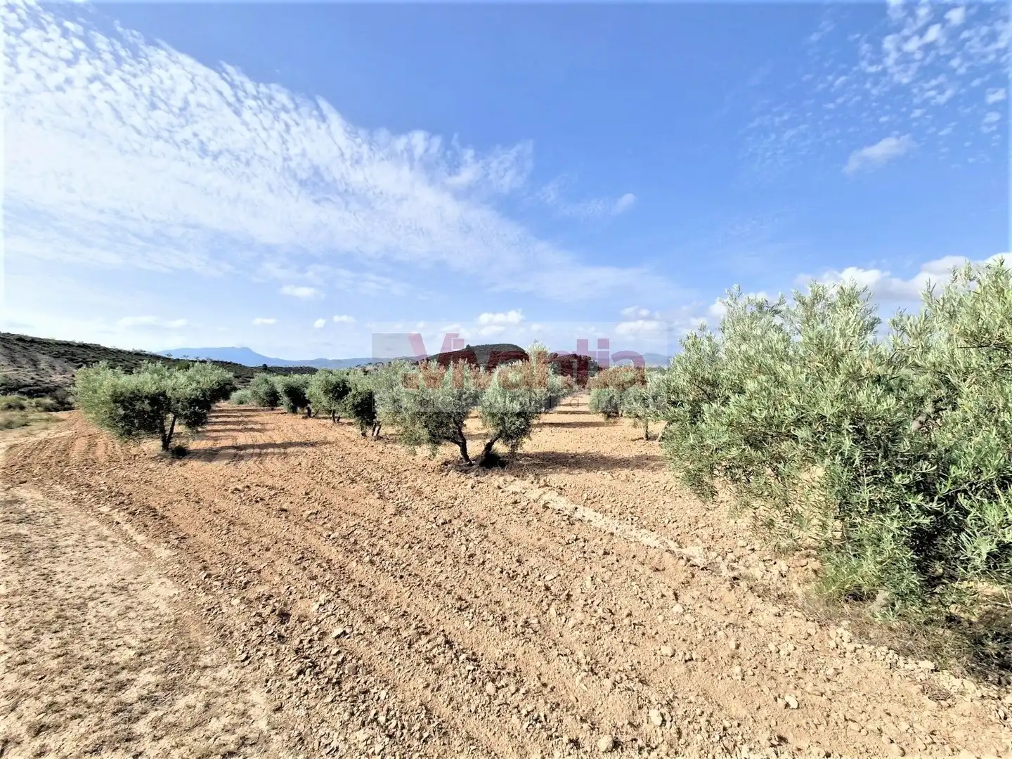 Casa o chalet en venta en Lorca