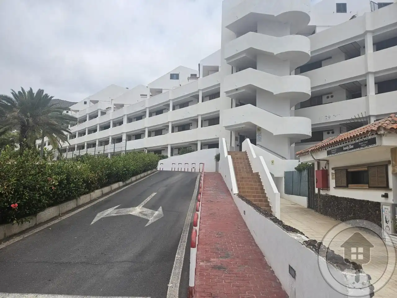 Estudi en venda a Juan Carlos I, Los Cristianos