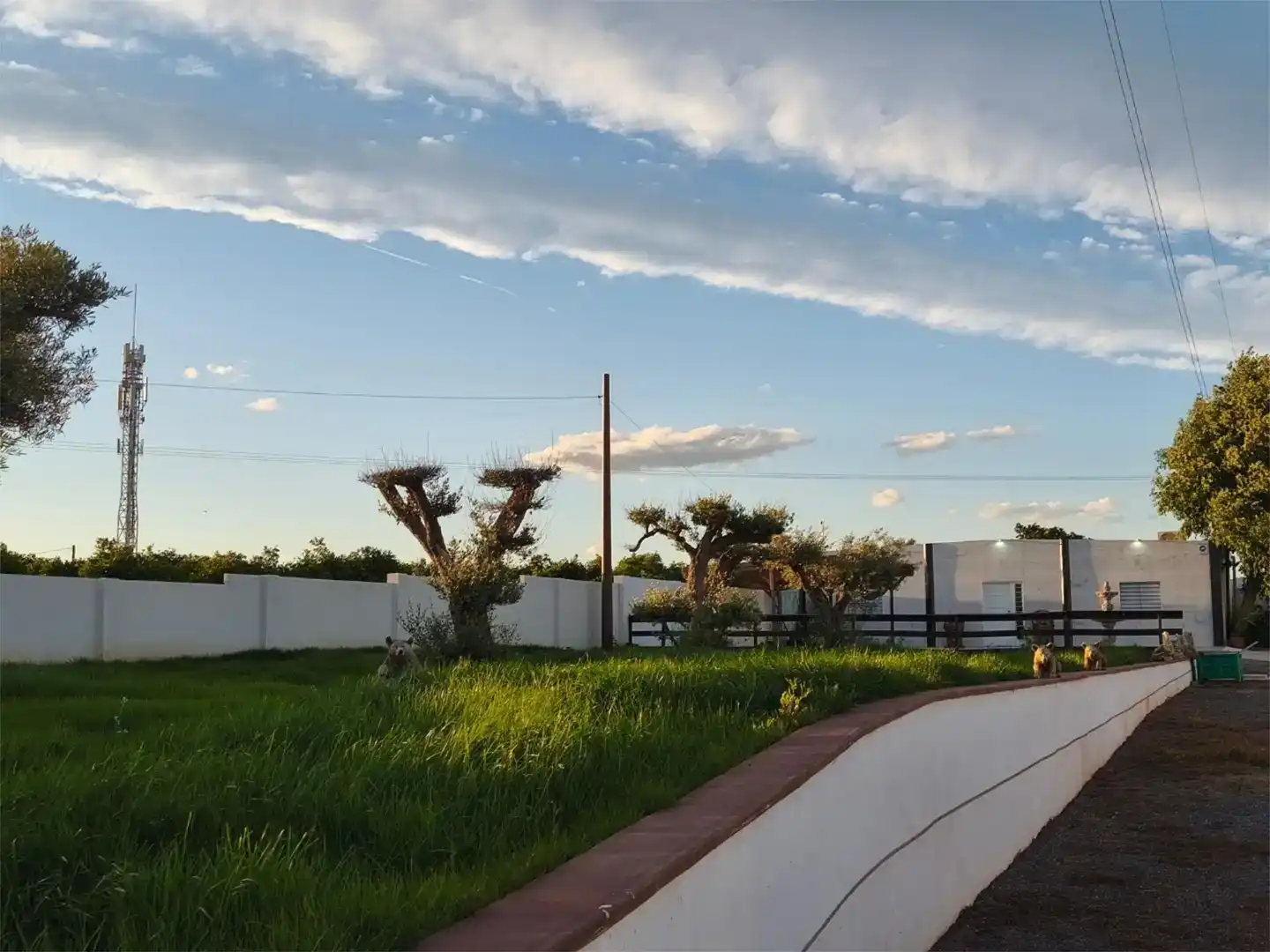 Lofts for rent in Almazora / Almassora  with Air Conditioner, Private garden and Storage room