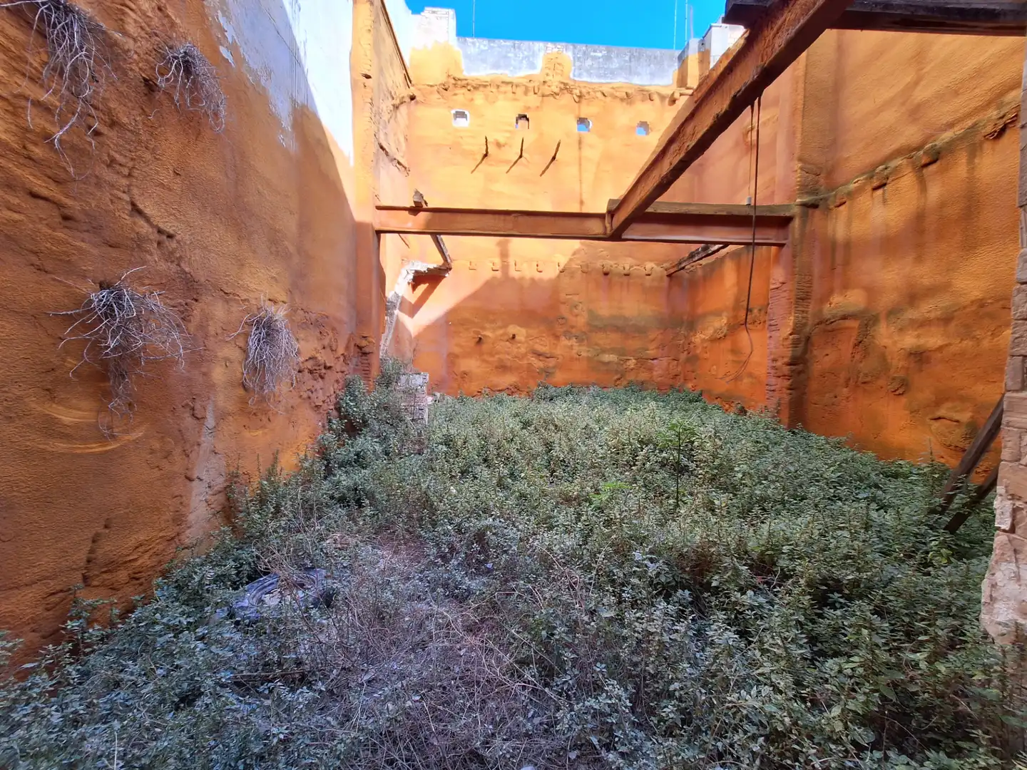 Jardí de Casa o xalet en venda en Sueca