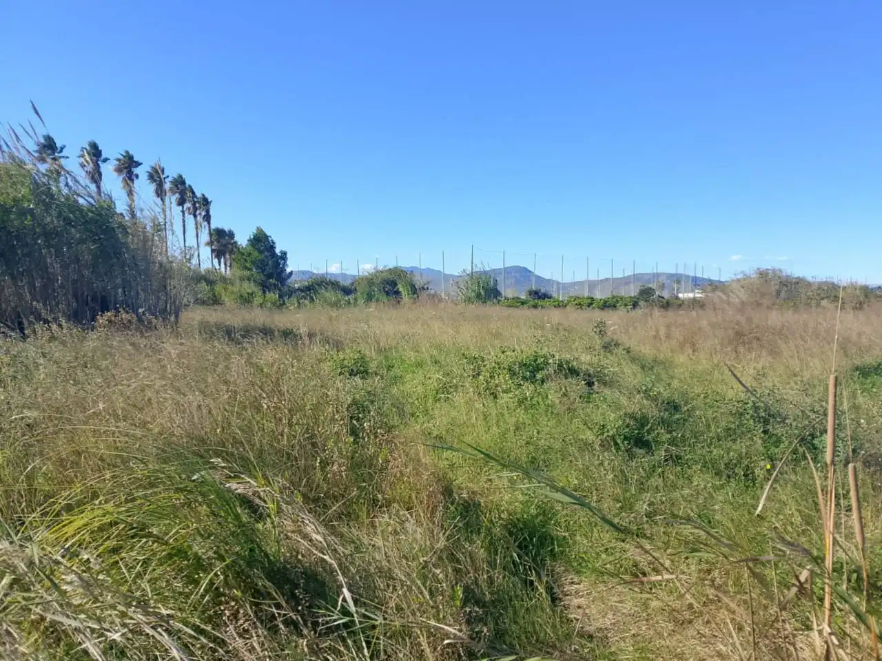 Terreno en venta en Oliva