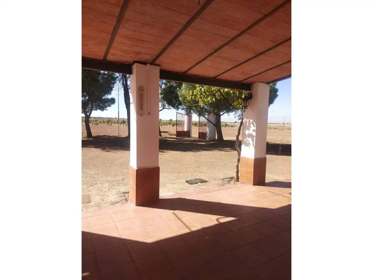 Terreny rústic en venda a Poligono 140 Parcela, imagen 5