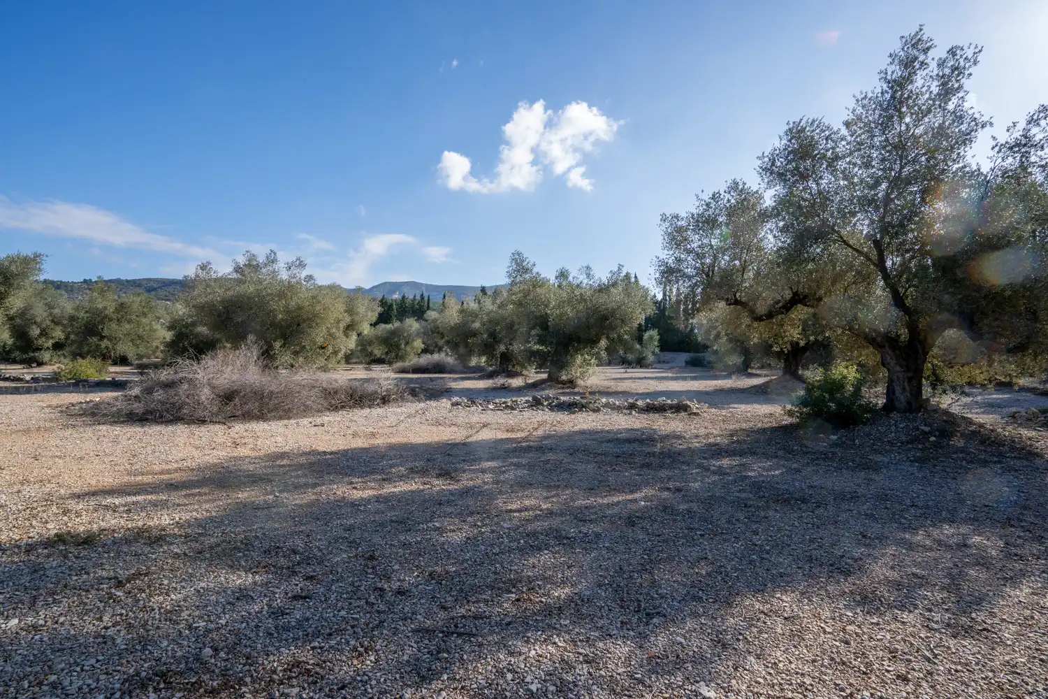 Rustikales Grundstück zum Verkauf in Ulldecona, imagen 6
