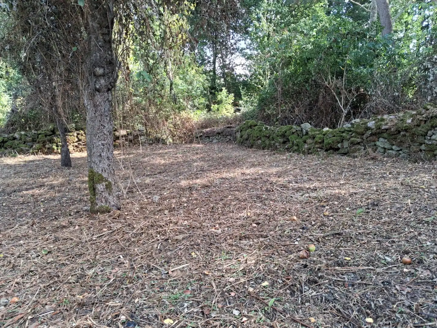 Casa o xalet en venda en Espinosa de los Monteros amb Jardí privat, Terrassa i Balcó