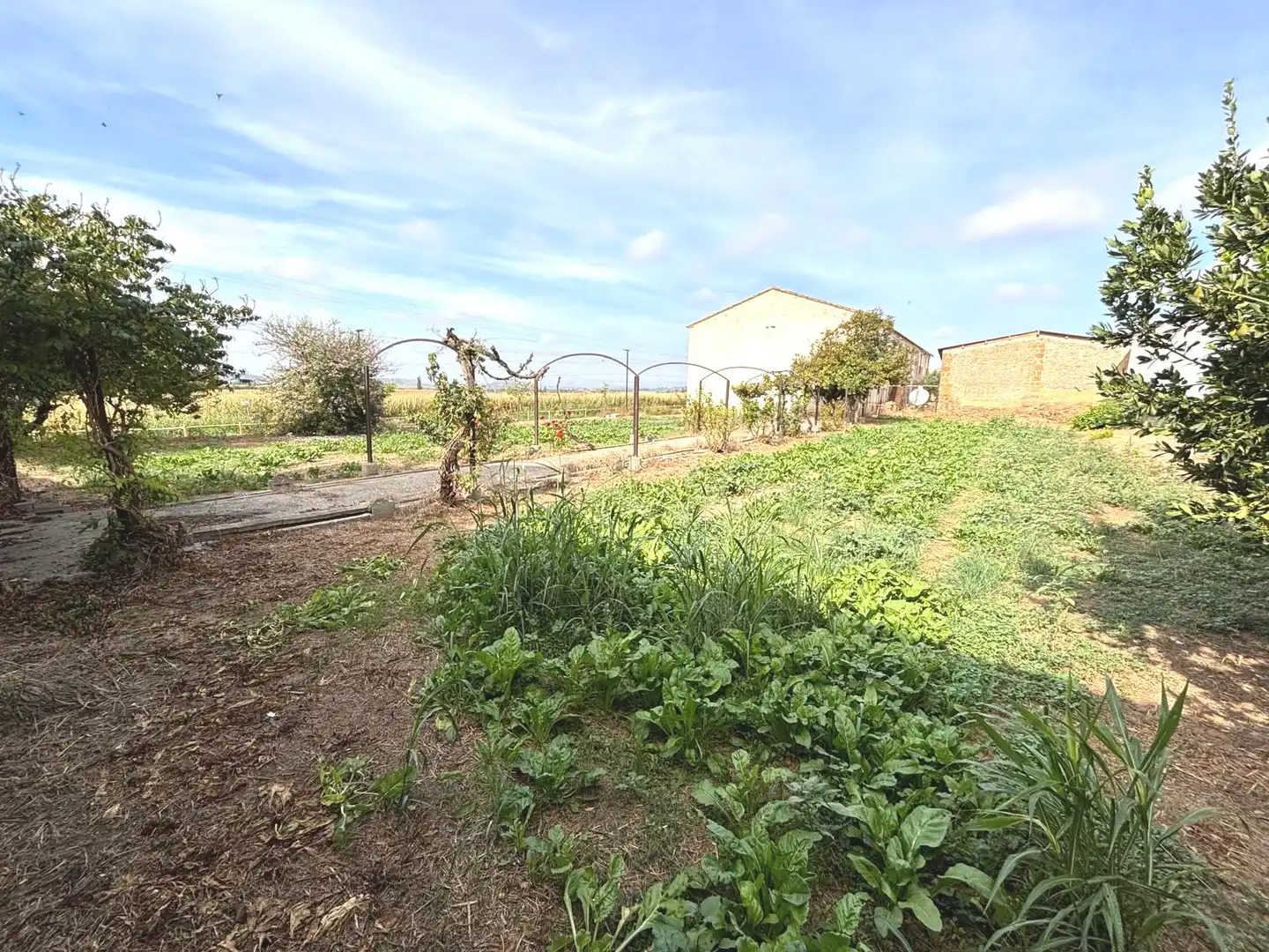 Finca rústica en venda en Binaced amb Calefacció, Jardí privat i Balcó