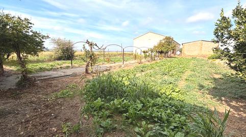 Foto 5 de Finca rústica en venda a Avenida la Paz, 17, Binaced, Huesca