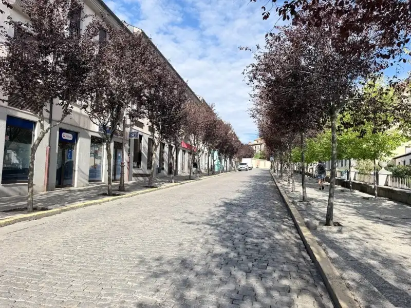 Attique avec jardin à vendre à El Espinar pueblo, imagen 29