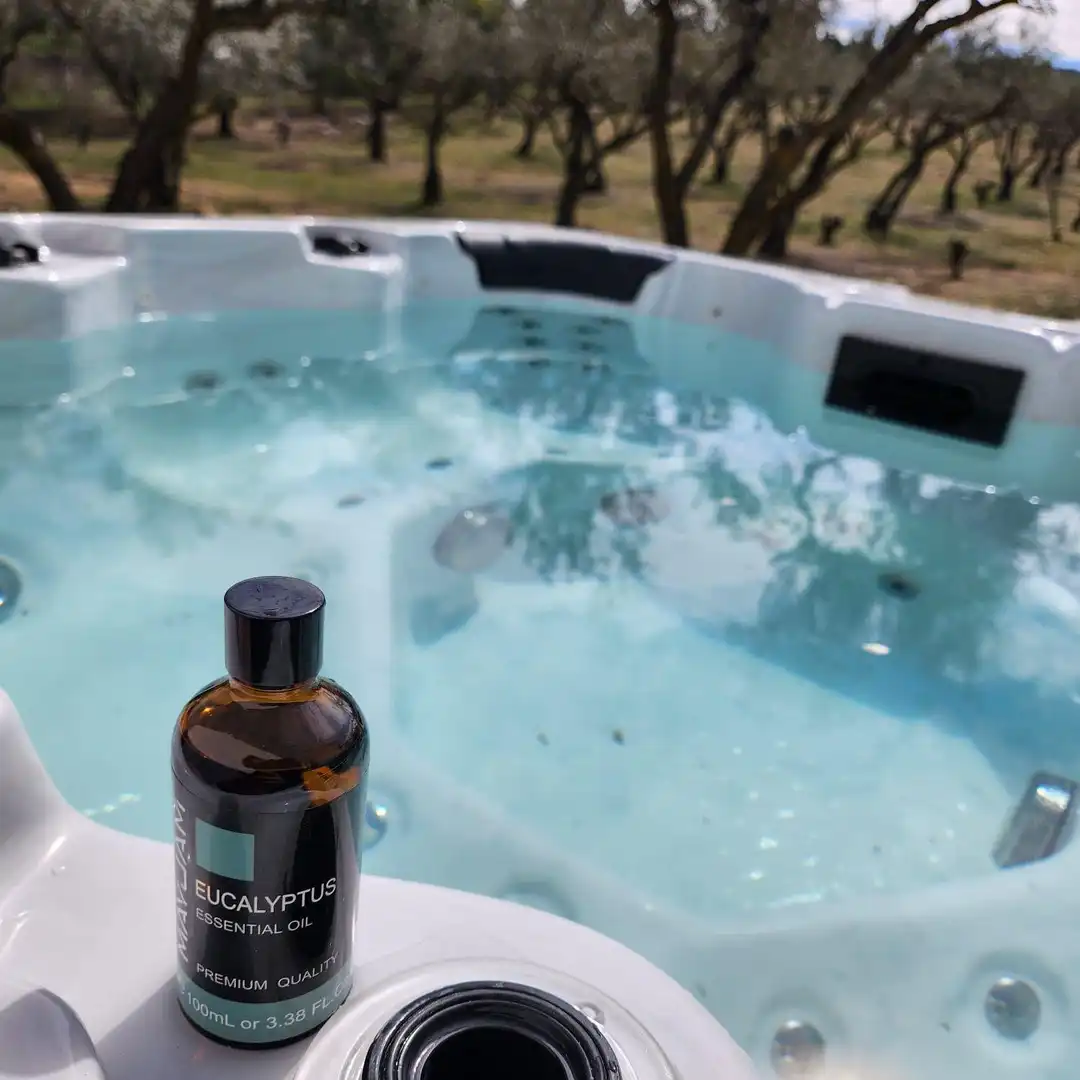 Piscina de Finca rústica en venda en Toledo