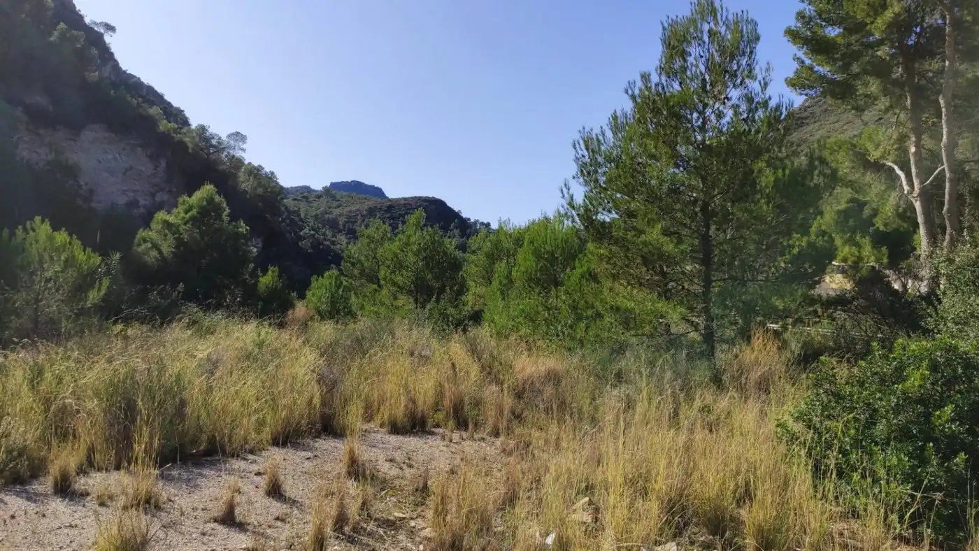 Finca rústica en venta en L'Atzúbia