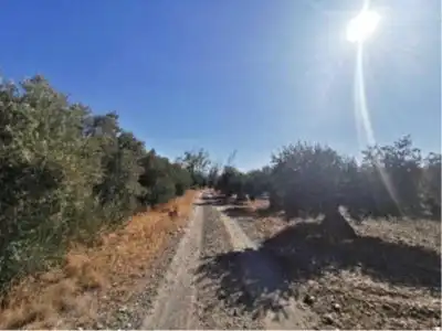 Terreny rústic en venda a Baza, imagen 4