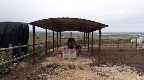 Photo 5 of Country homes for sale in Polígono Industrial Estanquillo, Burguillos, Sevilla