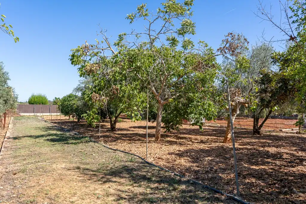 Casa rústica con piscina en venta en Lloseta, imagen 22