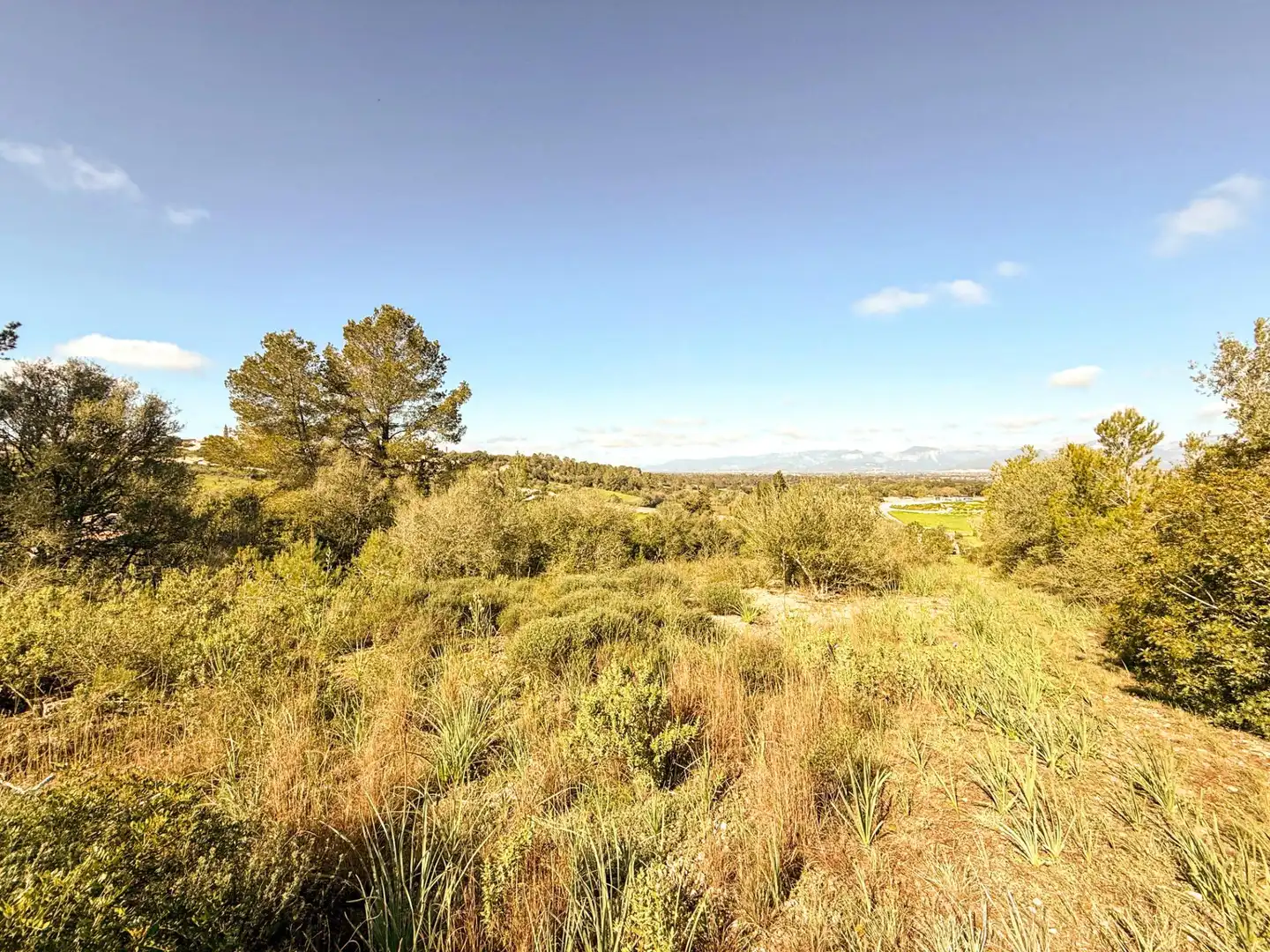 Finca rústica en venta en Costitx con Jardín privado y Terraza