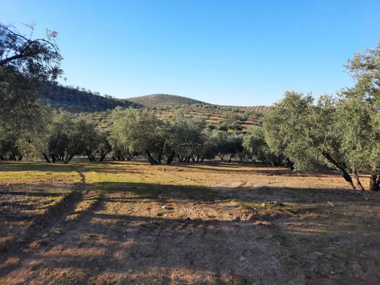 Terreno residencial en venta en Jauja, imagen 19