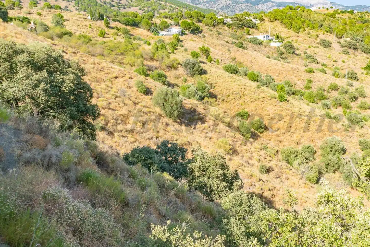 Terreno rustico in vendita a Salares, imagen 7