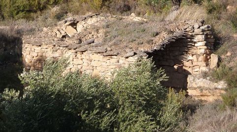 Foto 4 de Finca rústica en venta en Valjunquera, Teruel