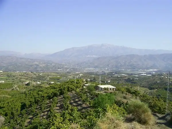Terrain rustique à vendre à Vélez-Málaga ciudad, imagen 3