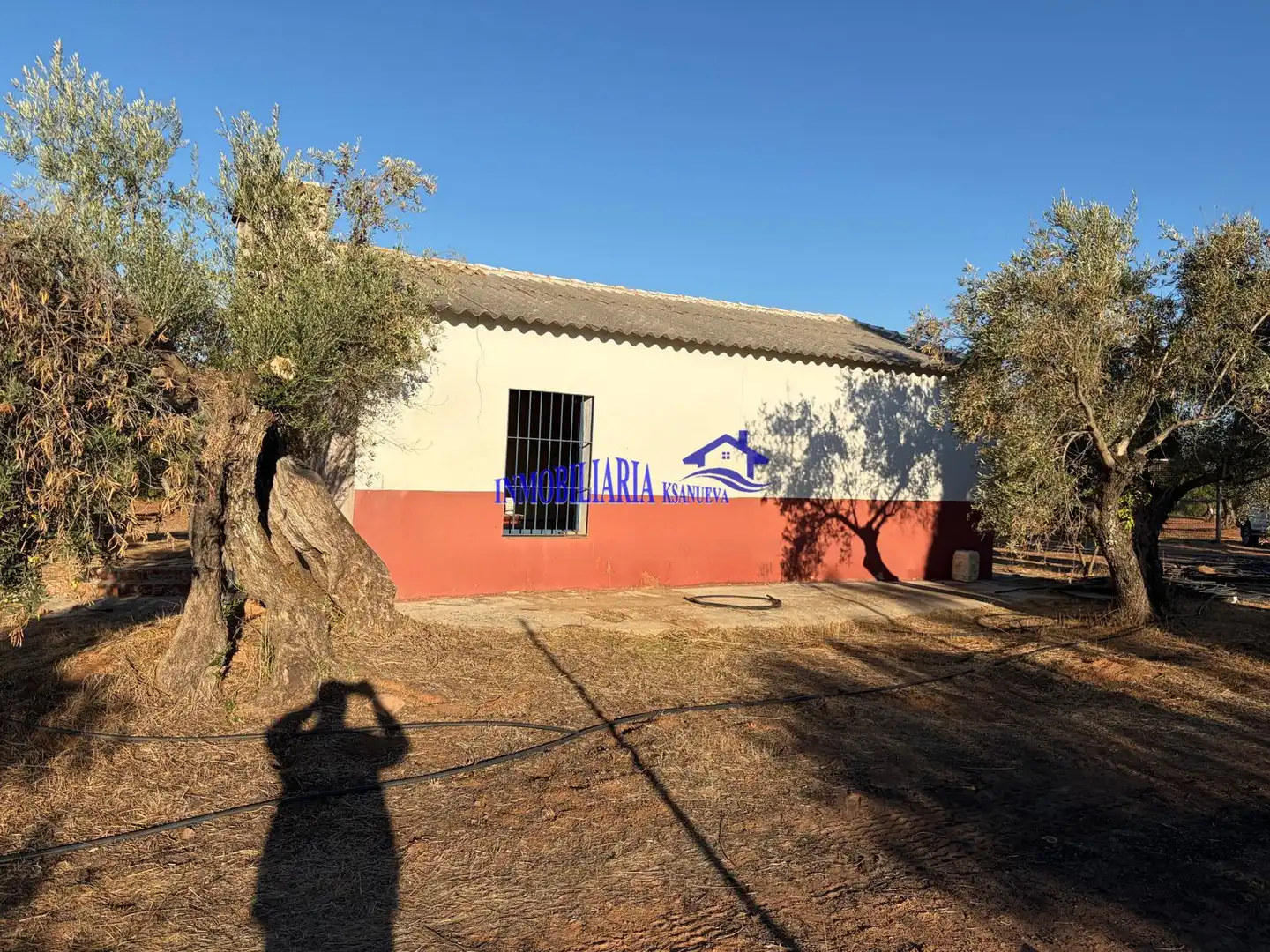 Vista exterior de Finca rústica en venta en Villa del Río, Córdoba