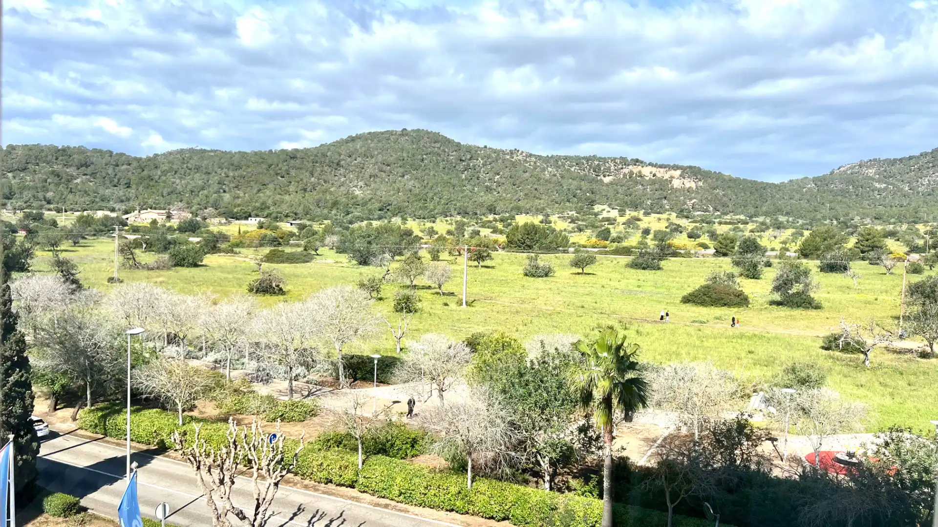 Apartments for sale in Calvià  with Air Conditioner, Terrace and Furnished