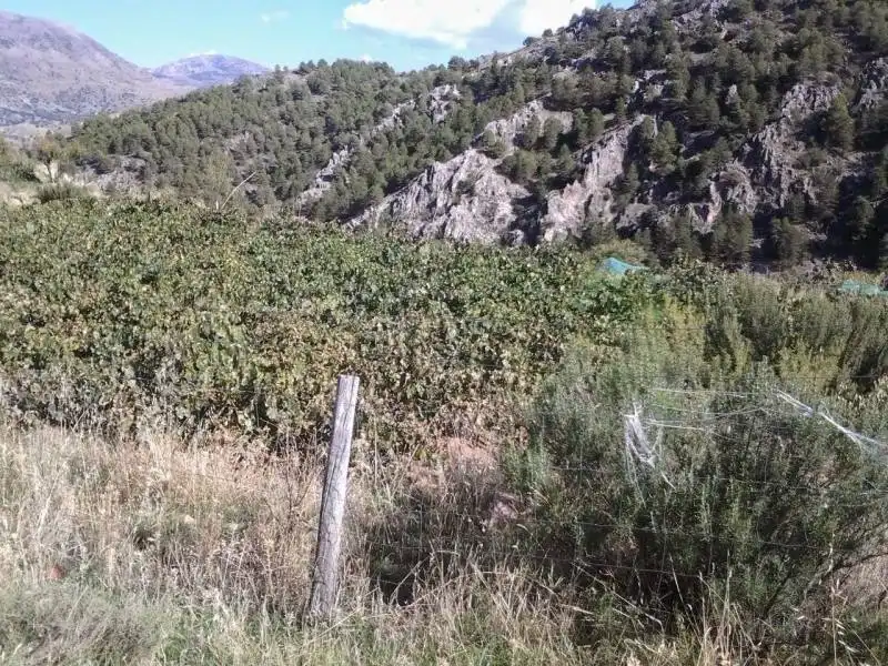 Casa rústica amb jardí en venda a Guadix, imagen 15