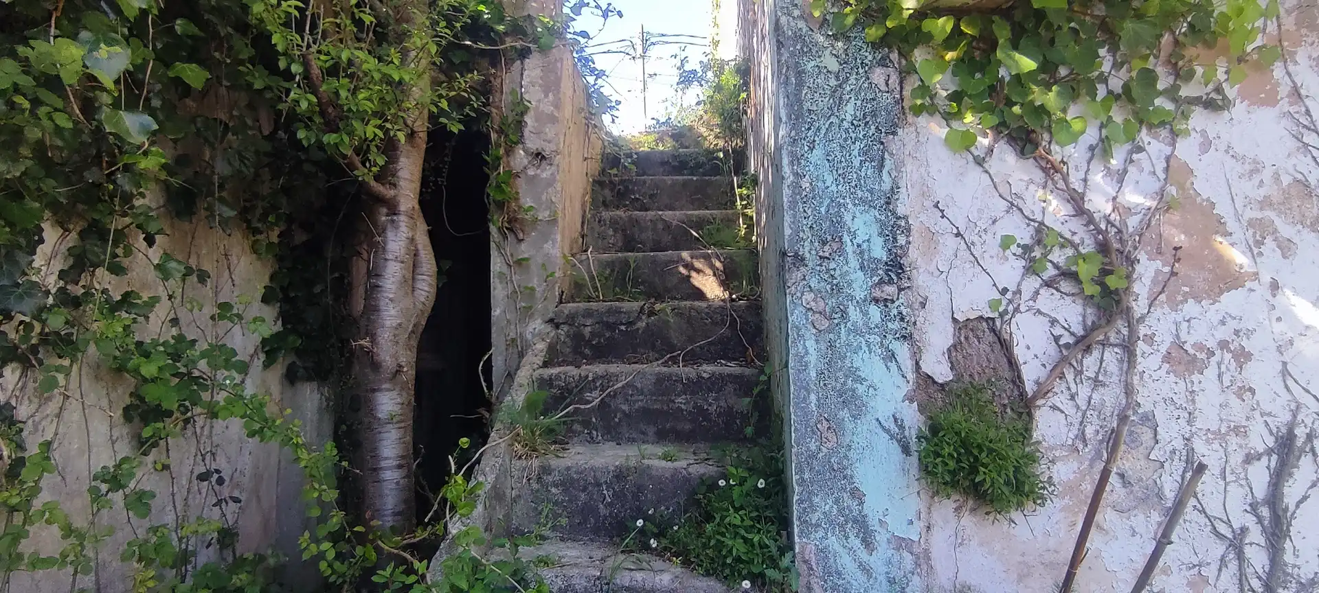 Vista exterior de Casa o xalet en venda en Ferrol amb Jardí privat