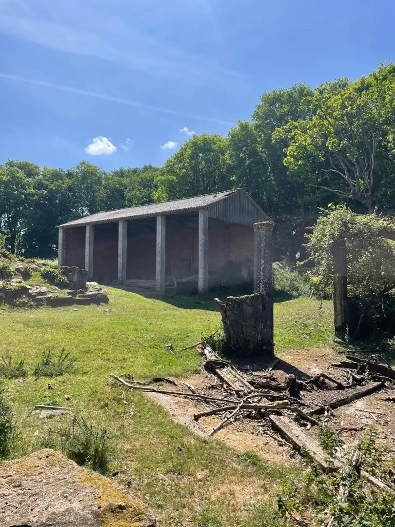 Vista exterior de Finca rústica en venta en Lalín con Amueblado