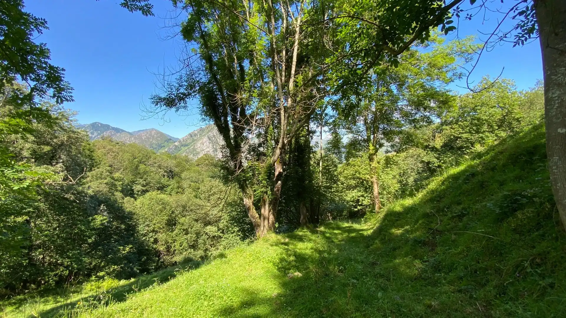 Terreno en venta en PRIESCA, Ponga